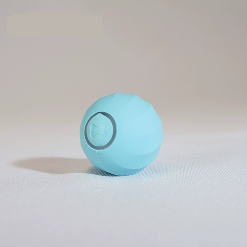 Кошка играет с кошками кошек, чтобы играть в Казахстан