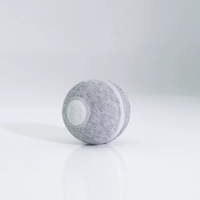 Кошка играет с кошками кошек, чтобы играть в Казахстан