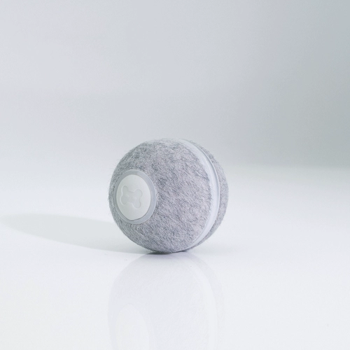 Кошка играет с кошками кошек, чтобы играть в Казахстан