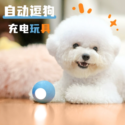 Собачья игрушечная мяч для медведя плюшевая собака Bomei