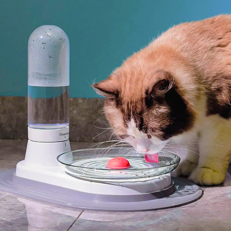 Seven-cloth kitty automatic water dispenser not plugged in electric anti-overturning cat drinking water cat water basin feeder cat supplies