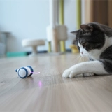 Кошка играет с грязными частными сверчками, скелетом ± ± Fresh 箸 箸 Smart Cat Wares от кошек и кошек