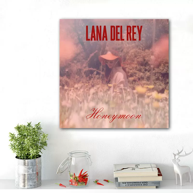 Обложка альбома LANA DEL REY Lan Drey, постер, декоративная картина, вокруг изображены европейские и американские звезды