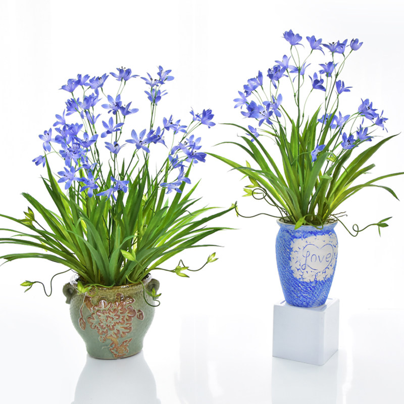 Cloud Orchid Pot Pot Fake Flower Set with Living Room Bedroom Dining Table Home Decoration Flower Fittings