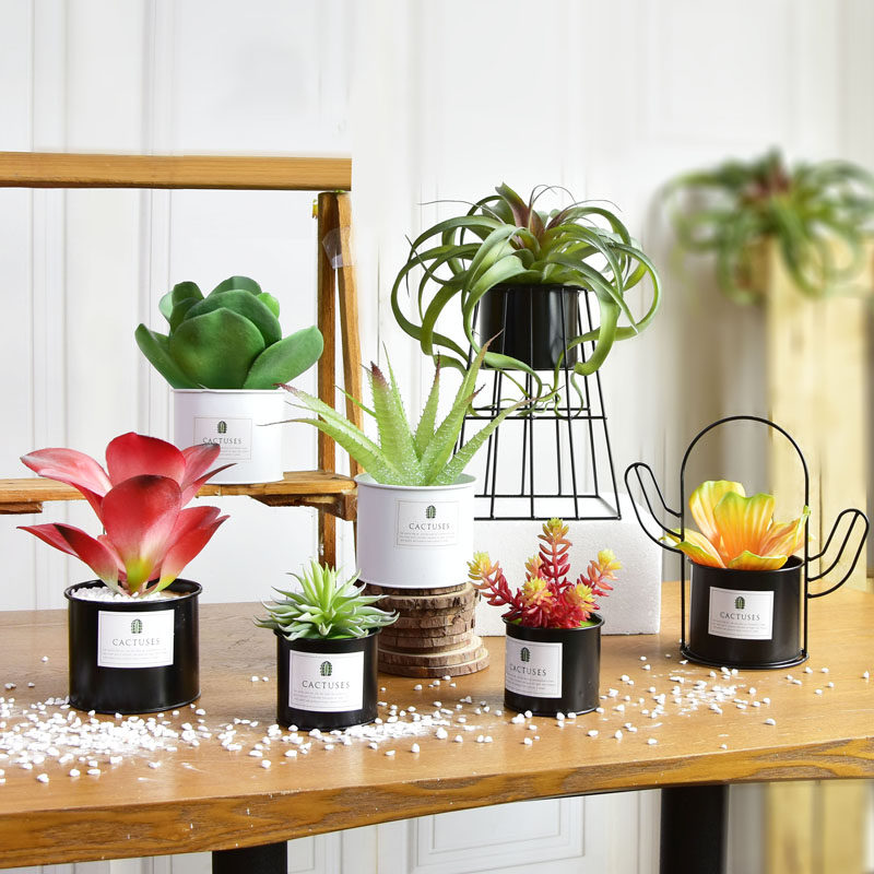 ins Nordic emulation Multi-meat plant Potted plant Pendulum Pieces Home Living Room Furnishing Nordic Decorative Cactus Small Bonsai