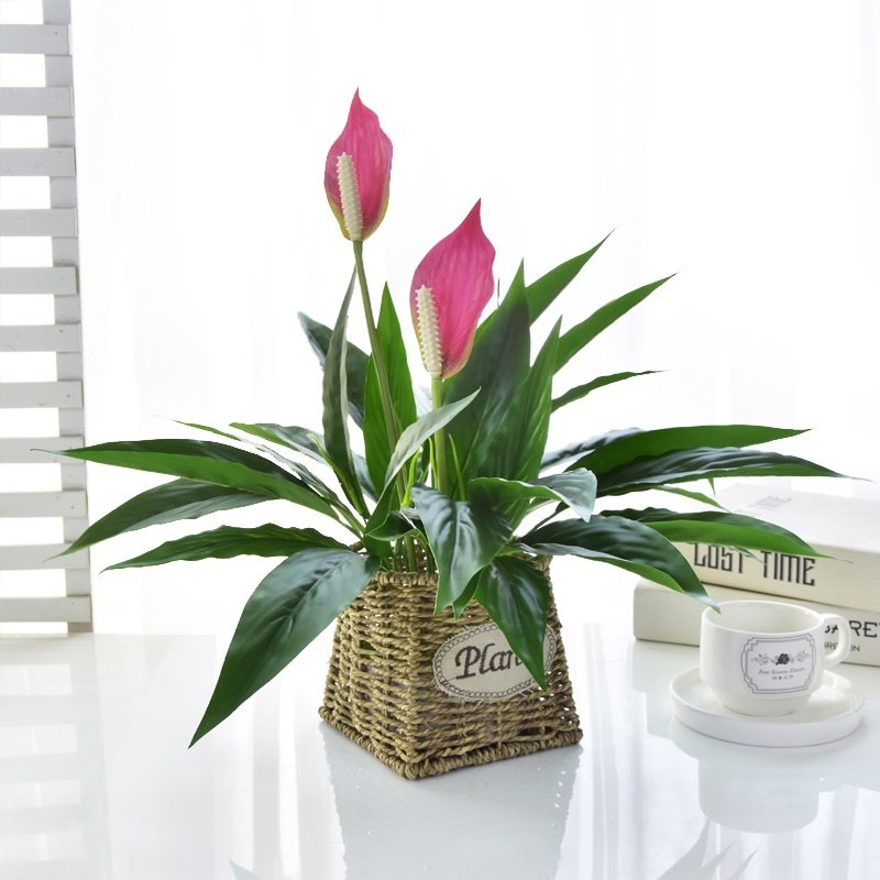 Simulation green plant white palm flower Nordic ins wind home table top ornament a smooth sailing potted turtle back fake flower plastic