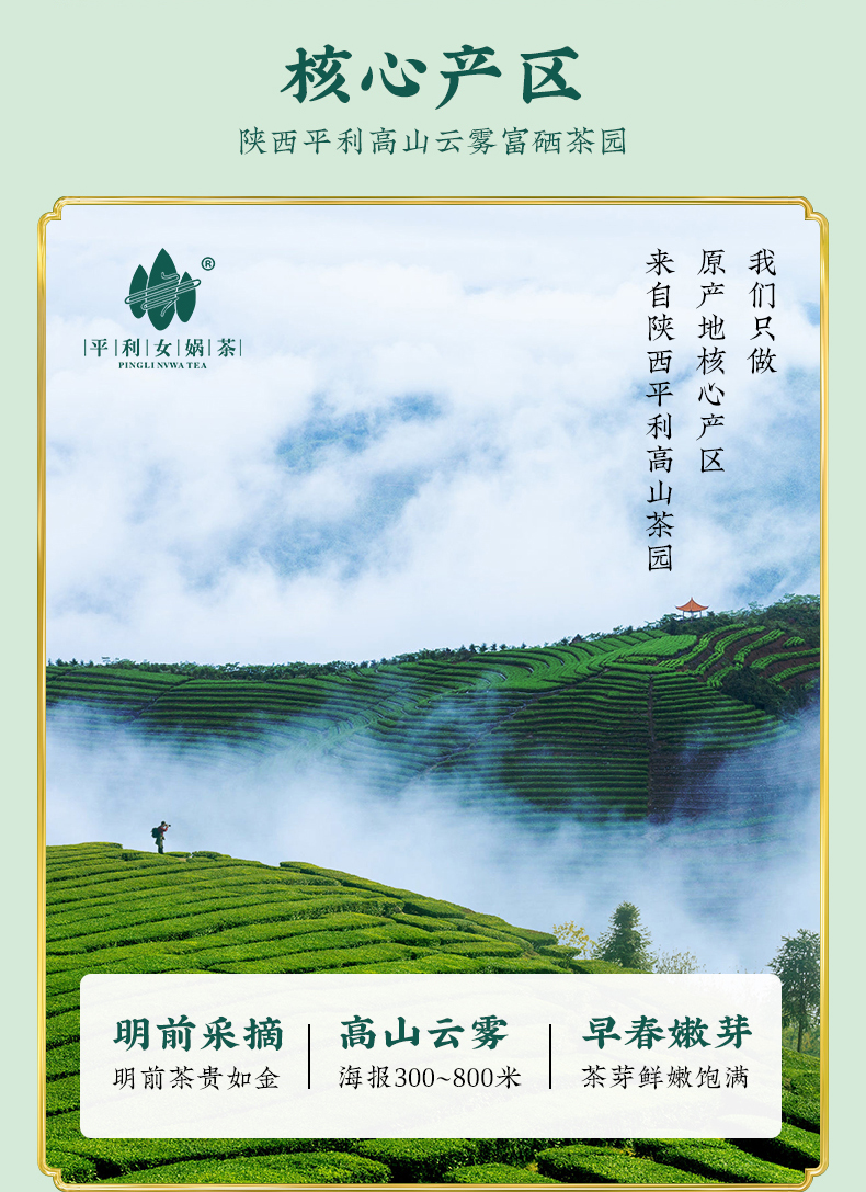 【平利女娲茶】高山毛尖浓香型散装250g