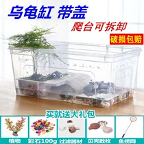 Plastic small mulled turtle cylinder with sunscreen and small pet tortoise cylinder eco-cylinder Brazilian tortoise rearing box with lid