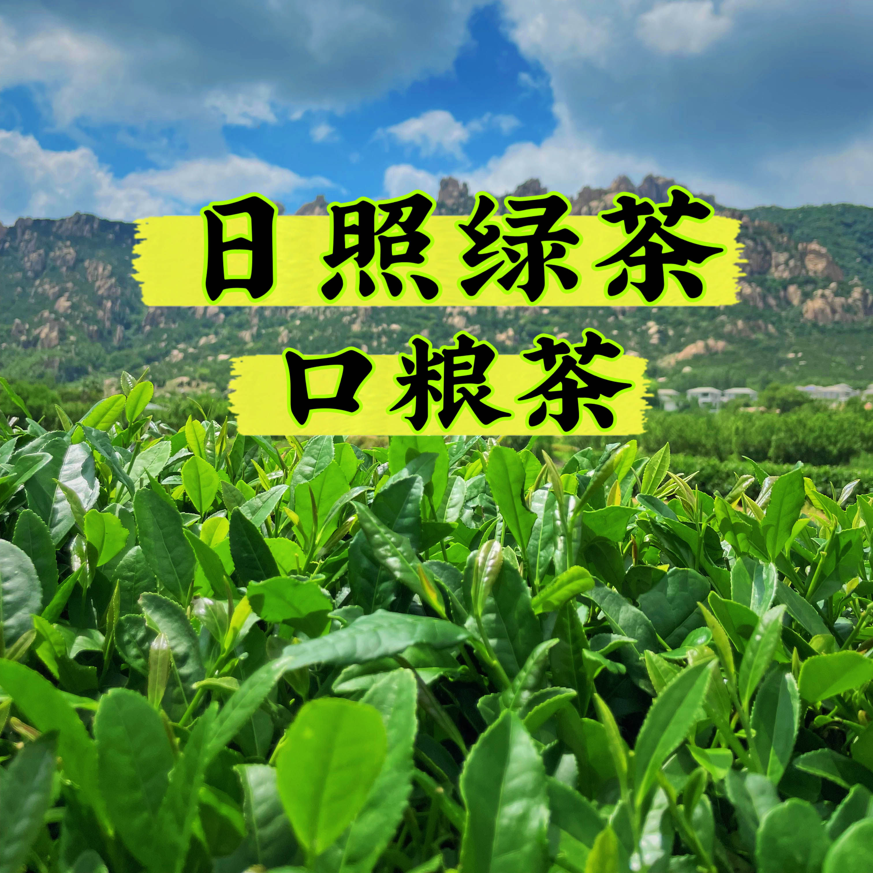 山东省日照绿茶企业店的LOGO