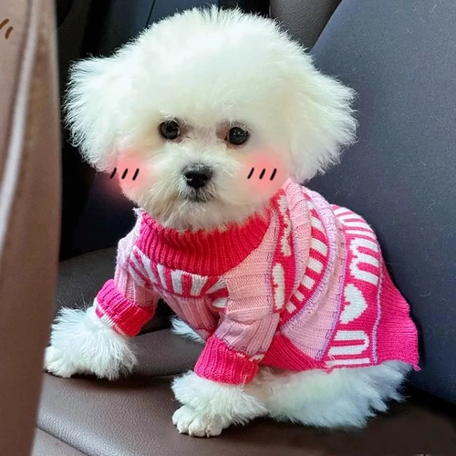 Демисезонный удерживающий тепло свитер, милый шнурок-держатель, осенний сезон