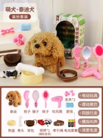 Хижина, аксессуар, домашний питомец, наряжаться