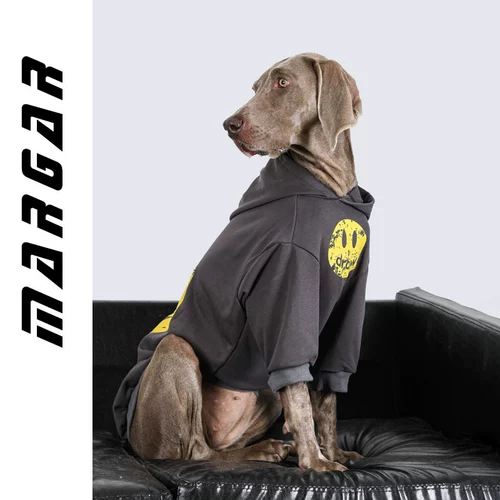 Одежда для собак с собаками с собаками осень и зимний золотой мао ​​Ладо Саммел красивый и приличный противный нагреватель