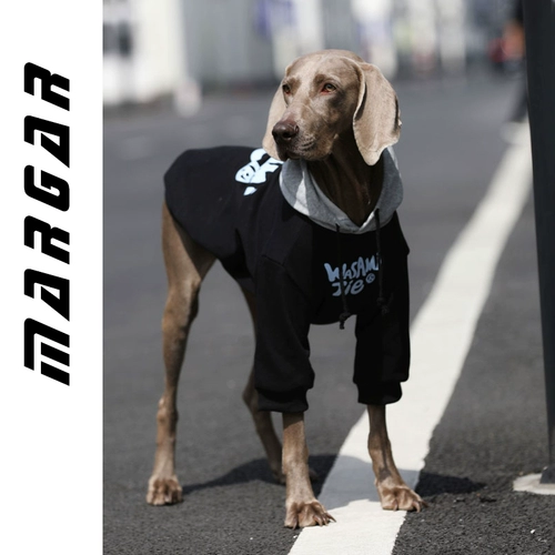 Одежда для собак крупные собаки осенью и зимой плюс золотые волосы, золотая ретрада, лабрадо гигантская бренда прилив красивой питомник