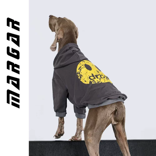 Одежда для собак с собаками с собаками осень и зимний золотой мао ​​Ладо Саммел красивый и приличный противный нагреватель