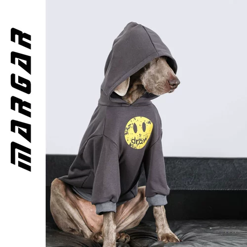 Одежда для собак с собаками с собаками осень и зимний золотой мао ​​Ладо Саммел красивый и приличный противный нагреватель