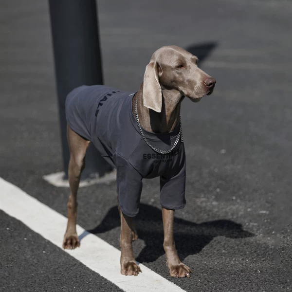 Товары от margar私宠高定