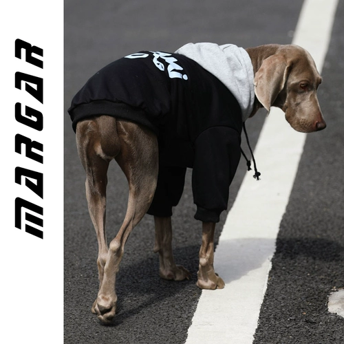 Одежда для собак крупные собаки осенью и зимой плюс золотые волосы, золотая ретрада, лабрадо гигантская бренда прилив красивой питомник