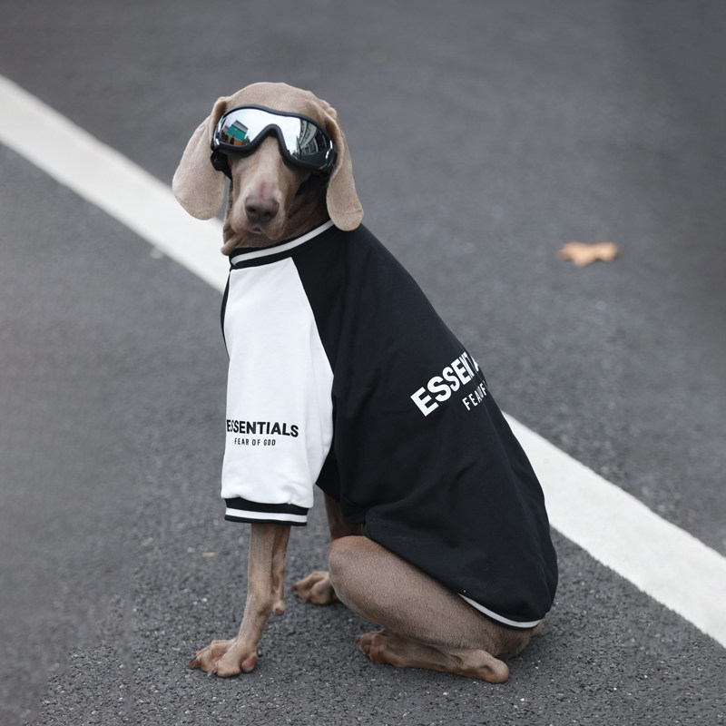Looking for trendy, warm autumn and winter clothing for your dog? check ...