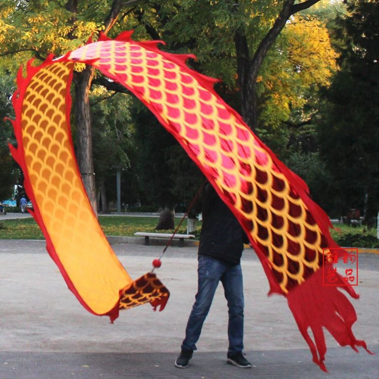 Children's dragon throwing ribbon fitness single-piece streamer hand throwing dragon rope ball shaking head color silk ribbon dragon beginner 8 meters 6