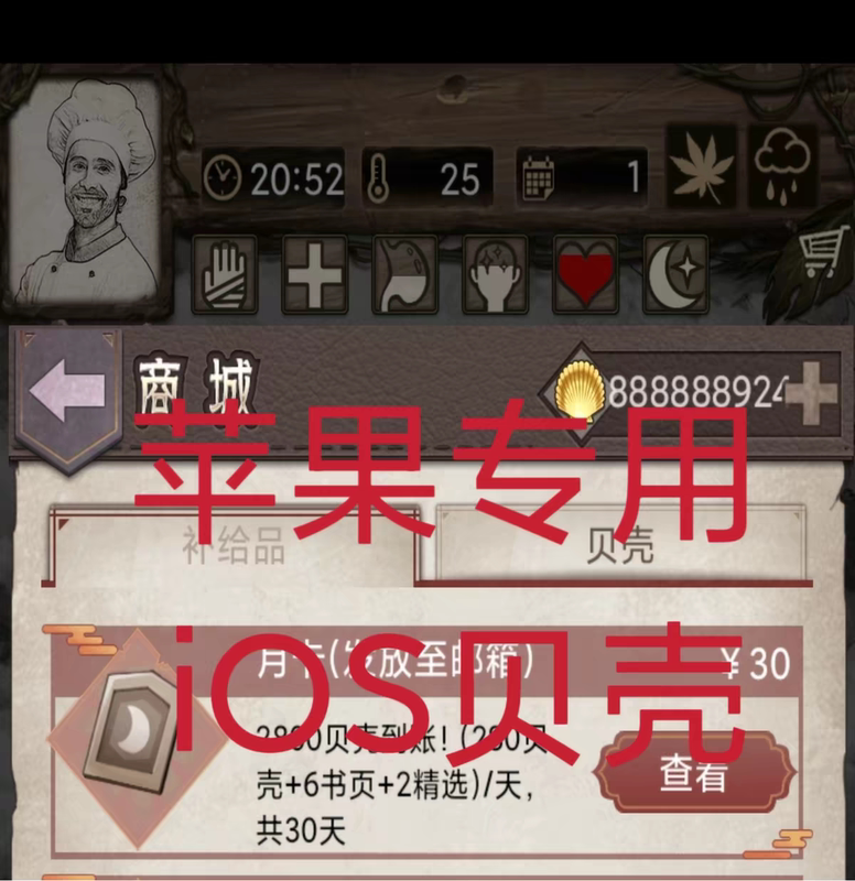 Wilderness Diary: Isolated Island, Apple Shell Skin, Book Page, Key, Talent, Character