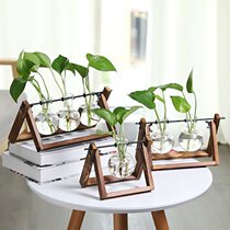  Test tube vase(creative wooden frame hydroponic vase)Green dill glass container Office desktop green plant modern