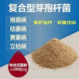 100 миллиардов Deat Berbalobacteria microbiophytis удобрения аквакультура сельскохозяйственная посадка корень гниения