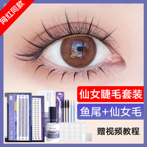 Little Red Book Net red mixed fish tail fairy eyelash set false eyelash womens single cluster self-adhesive natural simulation