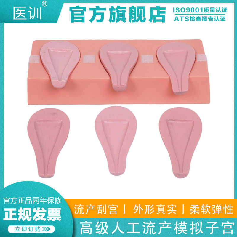 医训 YX/T334高级人工流产模拟子宫模型临床实习人工流产刮宫技术模拟刮宫操作模型