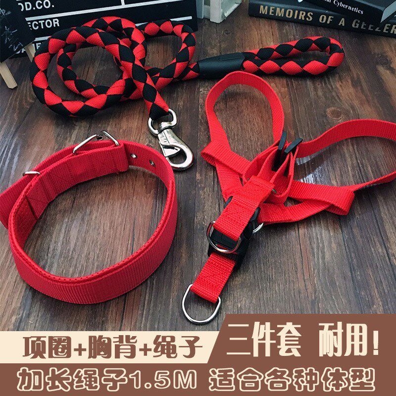 Walking the dog, pulling the rope chain with the bolt, practicing the flow, leaving the chest, holding the baby bag, the collar, on behalf of the small, medium and large dogs