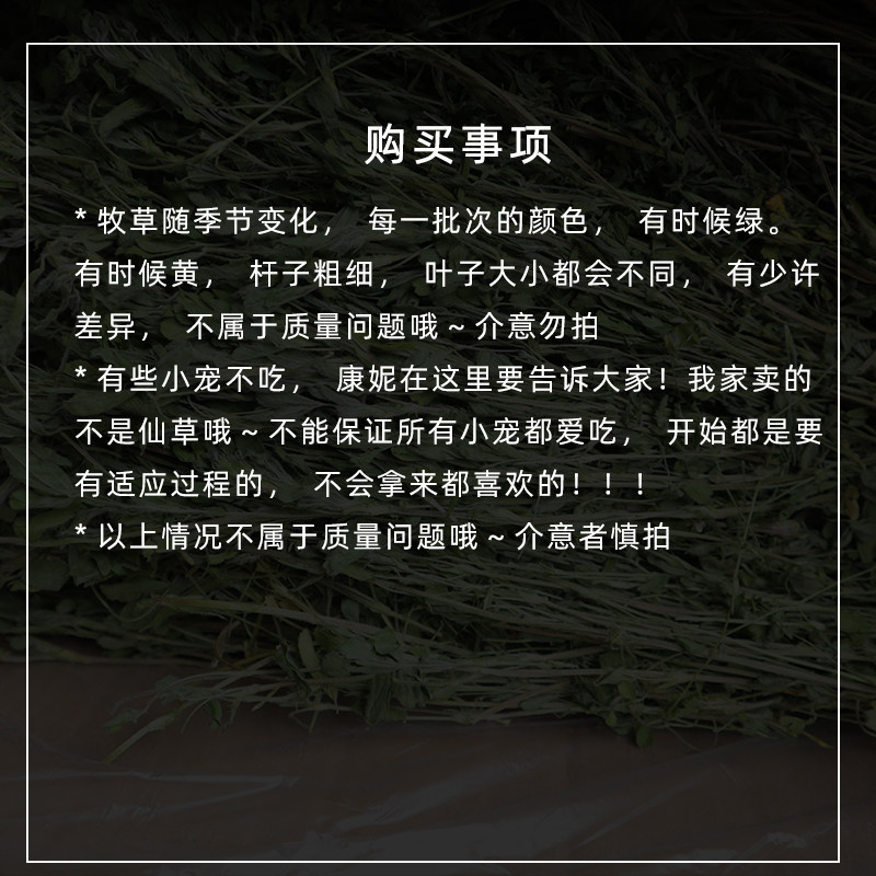 Shore Shelter Freight Supplementary Freight Shooting Freight Hyperlink