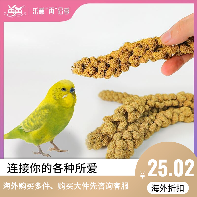 Parrot Natural Grain Millet with Huang Valley Bird Food Feed Bird Food Feed Bird Pearl Snacks