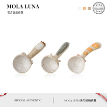 MOLA Lemon Spoon Handmade Stoneware Spoon Short Handle Spoon Cute High-Looking Ceramic Rice Spoon) Mori Lemon
