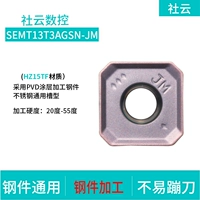 SEMT13T3AGSN-JM-HZ15TF