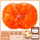 Международный конкурс Orange Mixed Clorful 5 -Inch [24 см*31 см] Гарантия качества десять лет