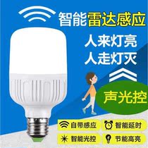 Led body induction bulb radar induction lamp sound and light control induction light floor stairway dark induction bulb