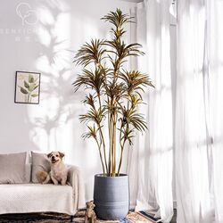 Large Artificial Plant, Millennium Tree, Iron Dragon Blood Tree, Green Plant, Fake Tree, Indoor Landscaping, Potted Plant, Decorative Bonsai