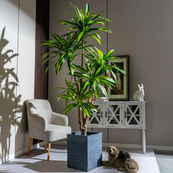 High-End Bionic Green Plant Artificial Tree Brazilian Wood Faux Tree Floor-Standing Indoor Living Room Landscape Decoration Ornament Fake Flower Tree