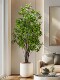 Artificial Tree, Horse-Dranker Tree, Simulated Green Plant, Potted Plant, Indoor Living Room, Entrance Hall, Artificial Flower Tree Decoration, Floor-Standing Ornament