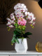 High-End Wet-Feel Phalaenopsis Orchid, High-End Artificial Floral Arrangement, Potted Plant Ornament, Flower Arrangement, Bionic Fake Flower, Table Decoration