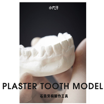 Small Qi tooth holder set to make tool tooth model making material take plaster tooth mold invisible tooth cover inverted die