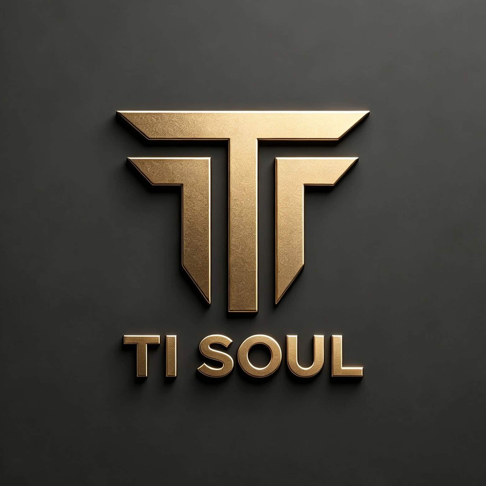 TI SOUL男装的LOGO