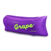 Виноградный фиолетовый виноград