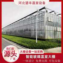 Intelligent glass greenhouse multi-span Dapeng factory vegetable and flower greenhouse skeleton strawberry agricultural greenhouse