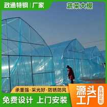 Vegetable greenhouse strawberry planting seedling bed integrated ground shed vegetable planting shed greenhouse and greenhouse conjoined shed