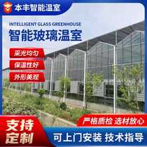 Hot-dip galvanized steel pipe frame glass greenhouse intelligent breeding greenhouse greenhouse multi-span vegetable greenhouse