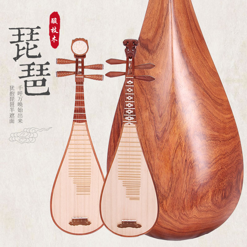 String Zun Pipa Red Sour Branch Old Material Pipa Musical Instrument Hot Waxing Polished Pipa Professional Performance Examination Pipa
