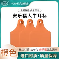 Orange Non -word 100 платеж