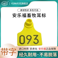 100 желтых символов