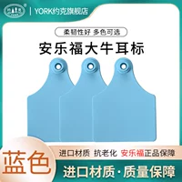 Синий не -слова 100 платеж