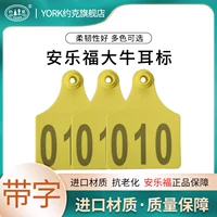 100 желтых символов